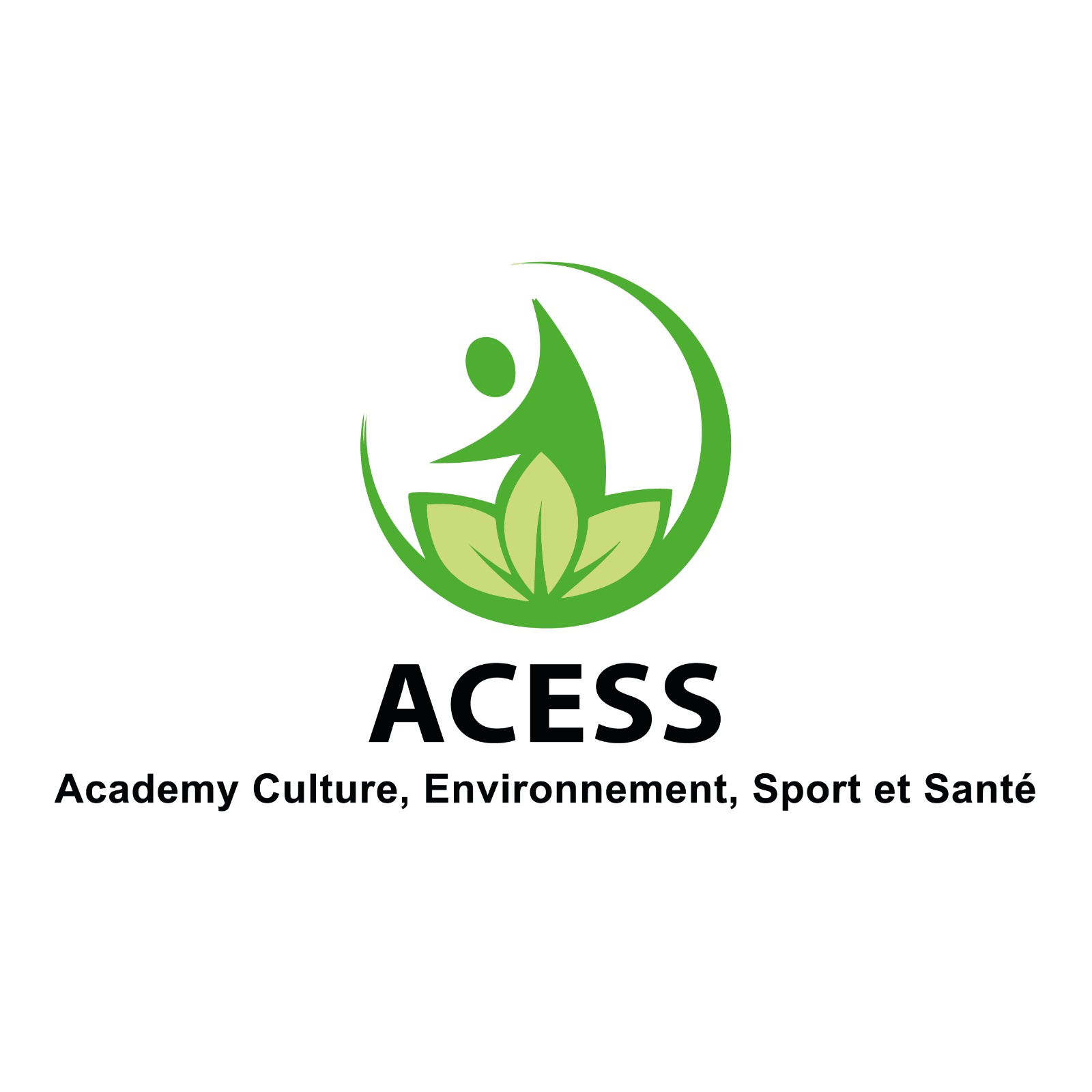 Logo Academy Culture Environnement Sport Santé